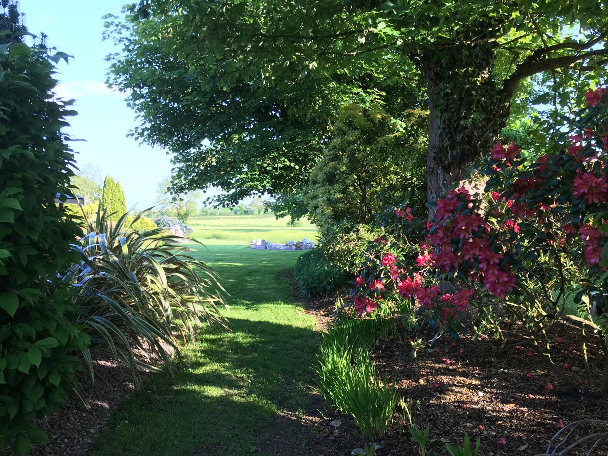 Grove House Country Rooms Shanballymore Eksteriør billede